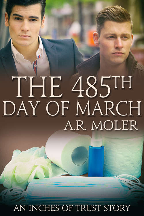 Book cover of The 485th Day of March