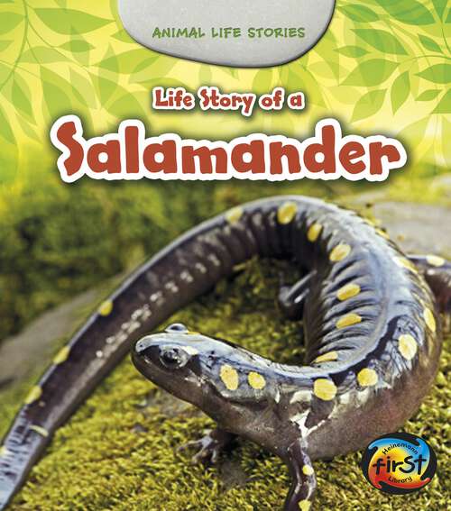 Book cover of Life Story of a Salamander