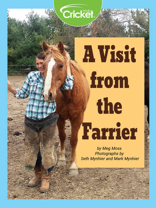 Book cover of A Visit from the Farrier