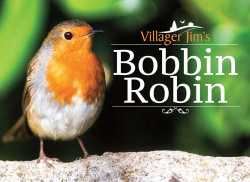 Book cover of Villager Jim's Bobbin Robin