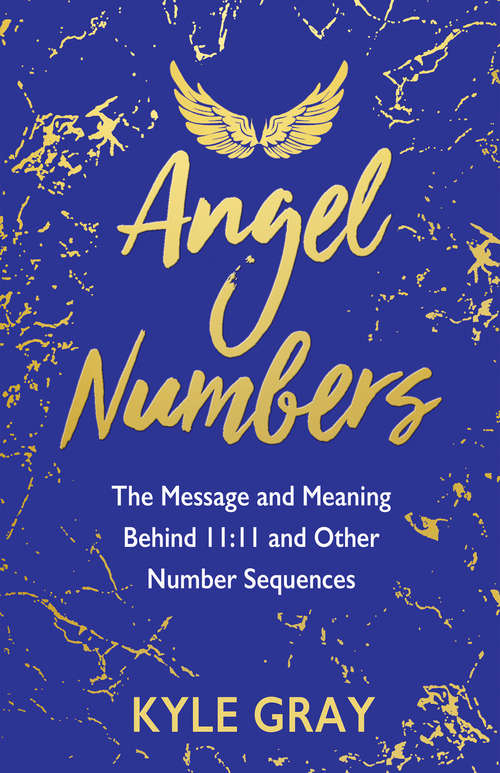 Book cover of Angel Numbers: The Message and Meaning Behind 11:11 and Other Number Sequences