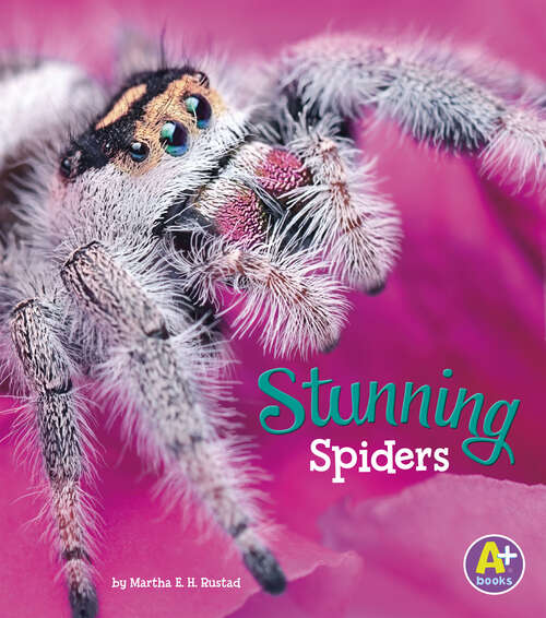 Book cover of Stunning Spiders (Bugs Are Beautiful! Ser.)