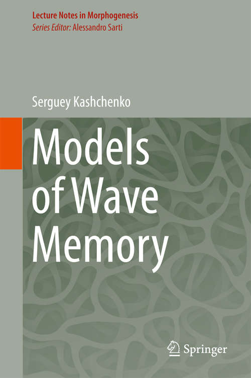 Book cover of Models of Wave Memory