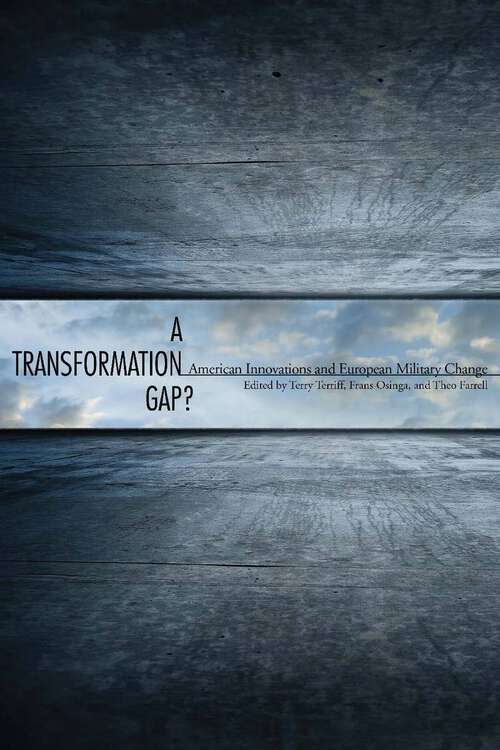 Book cover of A Transformation Gap?