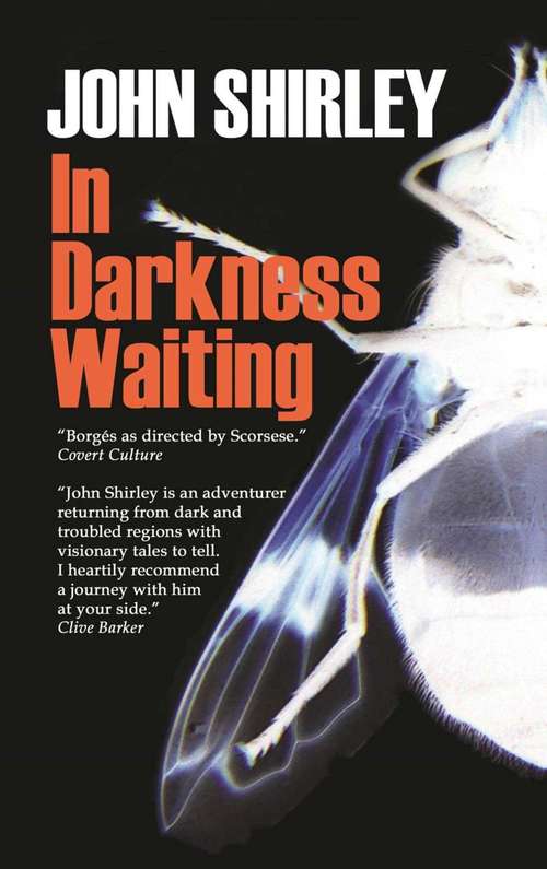 Book cover of In Darkness Waiting