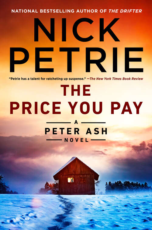 Book cover of The Price You Pay (A Peter Ash Novel #8)