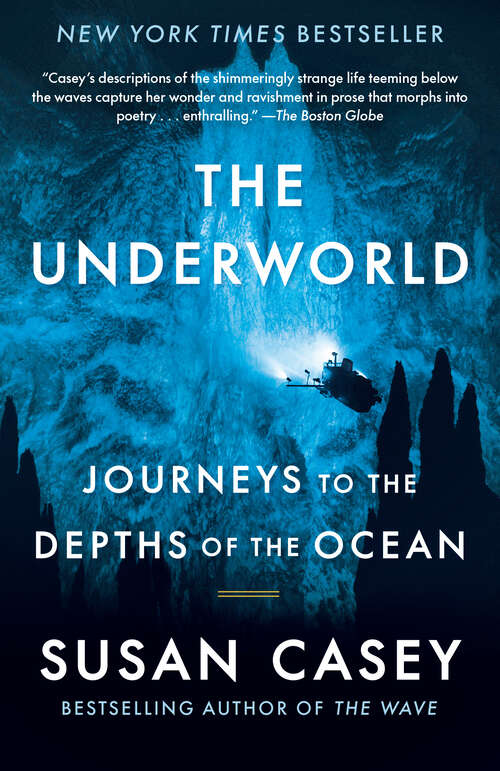 Book cover of The Underworld: Journeys to the Depths of the Ocean