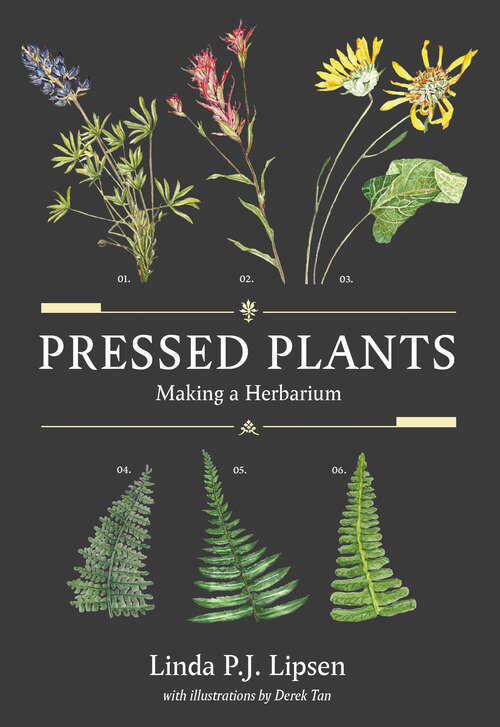 Book cover of Pressed Plants: Making a Herbarium