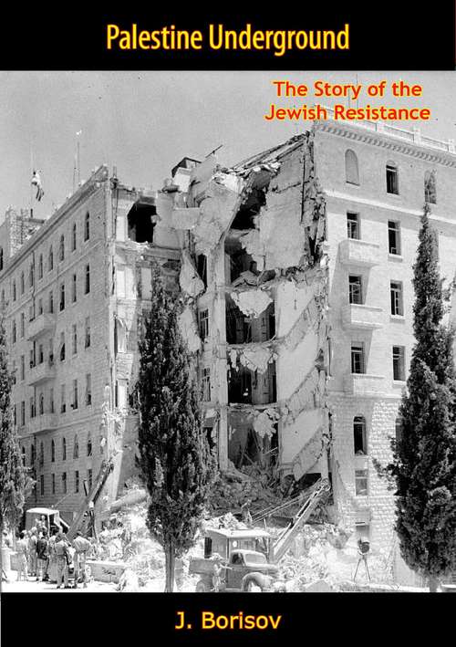 Book cover of Palestine Underground: The Story of the Jewish Resistance