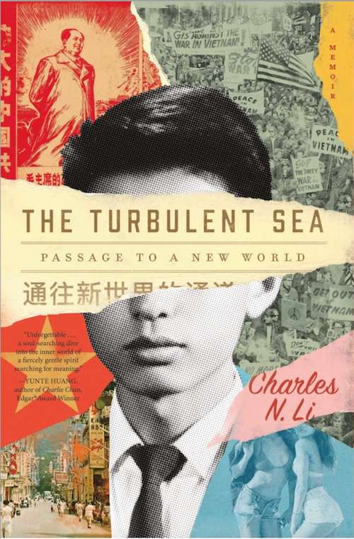 Book cover of The Turbulent Sea: Passage to a New World