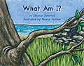 Book cover of What am I? (Fountas & Pinnell LLI Green: Level D, Lesson 49)