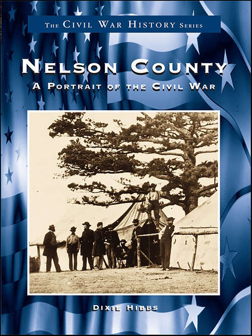 Book cover of Nelson County: A Portrait of the Civil War (Civil War Series)