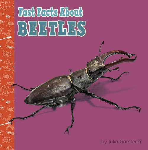 Book cover of Fast Facts About Beetles (Fast Facts About Bugs & Spiders)
