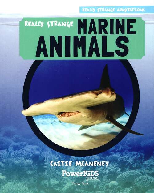 Book cover of Really Strange Marine Animals (Really Strange Adaptations Ser.)