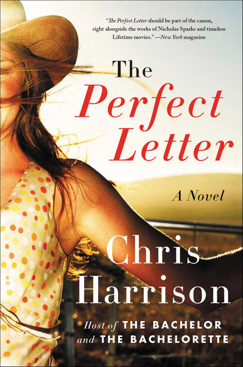 Book cover of The Perfect Letter: A Novel