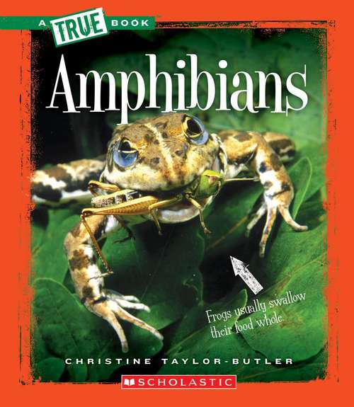 Book cover of Amphibians (A True Book: Animal Kingdom)