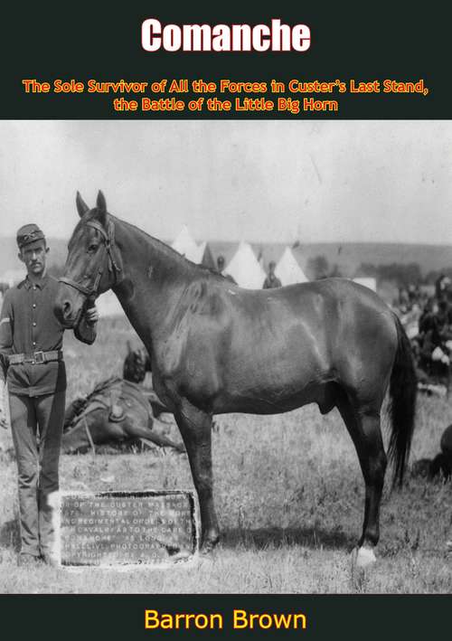 Book cover of Comanche: The Sole Survivor of All the Forces in Custer’s Last Stand, the Battle of the Little Big Horn