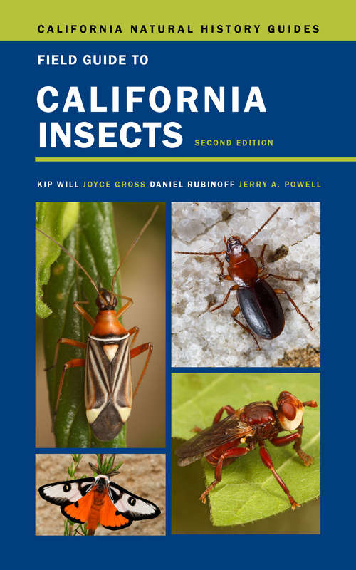 Book cover of Field Guide to California Insects: Second Edition (2) (California Natural History Guides #111)
