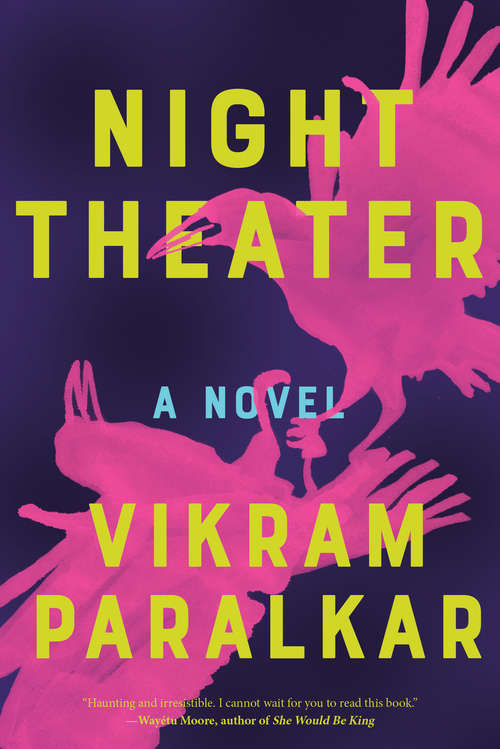 Book cover of Night Theater: A Novel