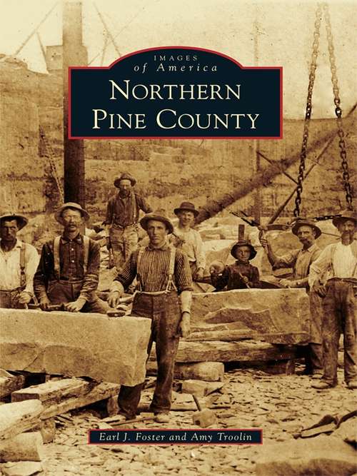 Book cover of Northern Pine County