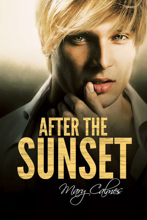 Book cover of After the Sunset (Timing #2)
