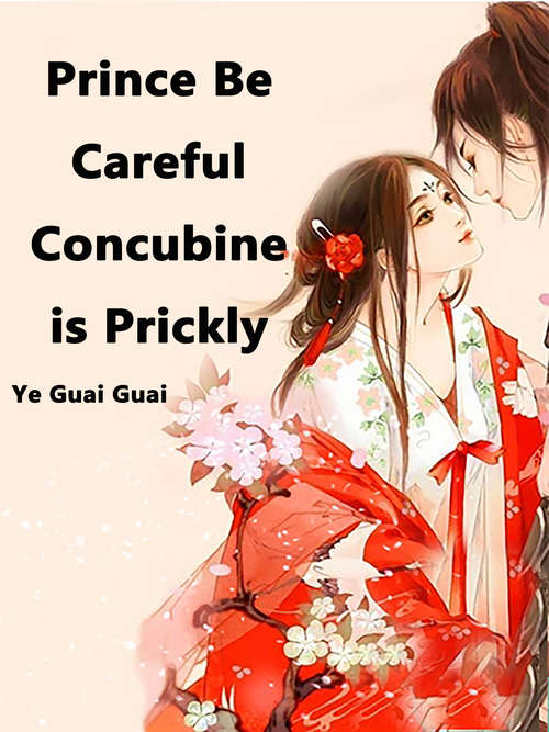 Book cover of Prince Be Careful: Volume 4 (Volume 4 #4)