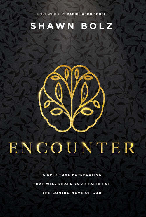 Book cover of Encounter: A Spiritual Perspective That Will Shape Your Faith for the Coming Move of God