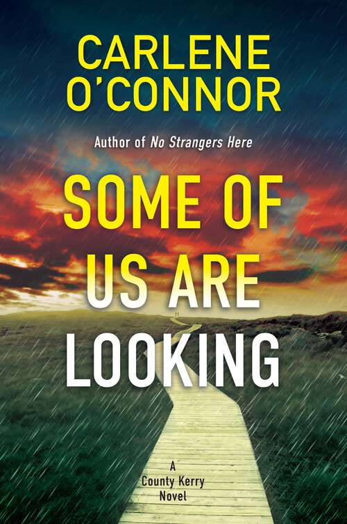 Book cover of Some of Us Are Looking (A County Kerry Novel #2)
