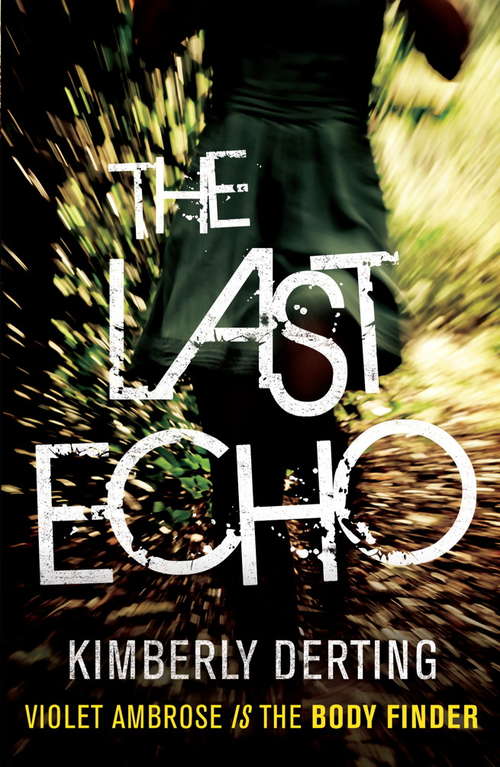 Book cover of The Last Echo