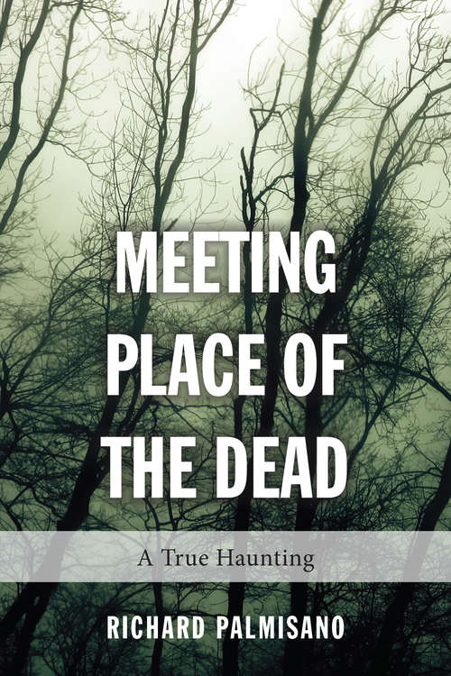 Book cover of Meeting Place of the Dead: A True Haunting