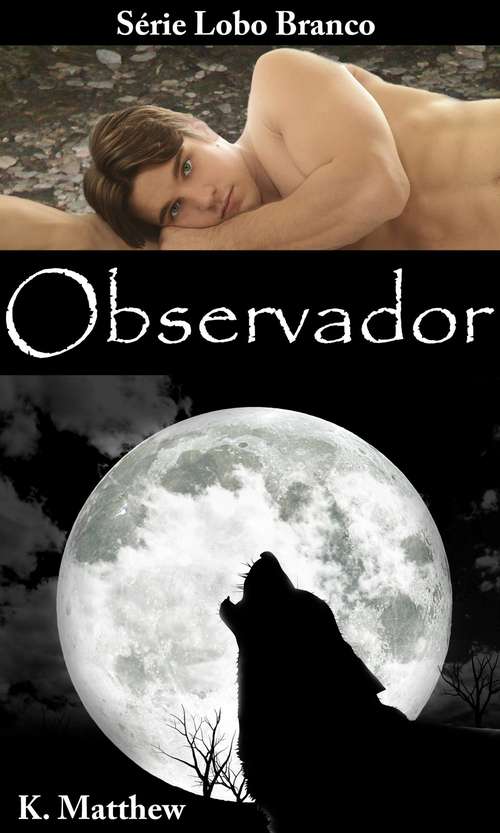 Book cover of Observador