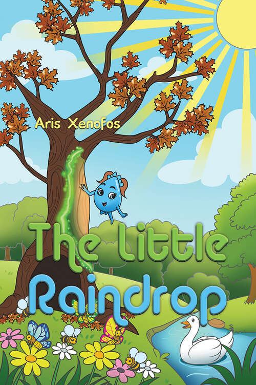 Book cover of The Little Raindrop