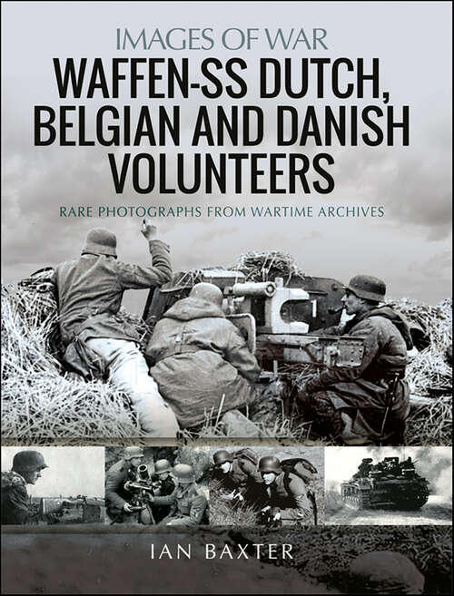 Book cover of Waffen-SS Dutch, Belgian, and Danish Volunteers: Rare Photographs from Wartime Archives (Images of War)