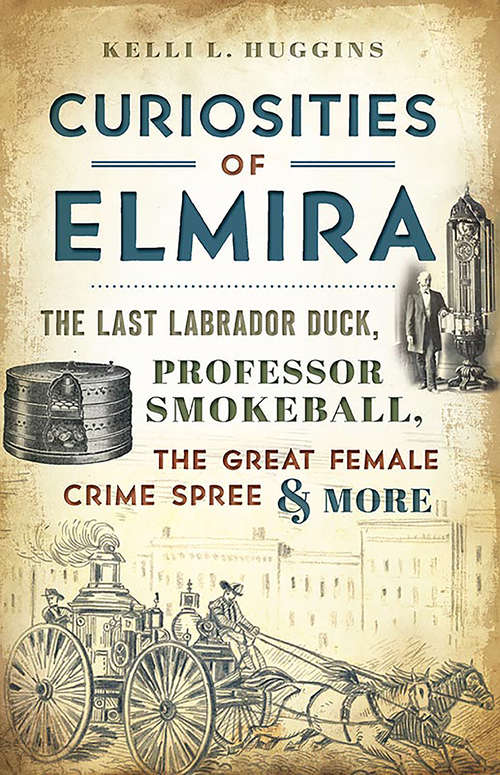 Book cover of Curiosities of Elmira: The Last Labrador Duck, Professor Smokeball, the Great Female Crime Spree & More