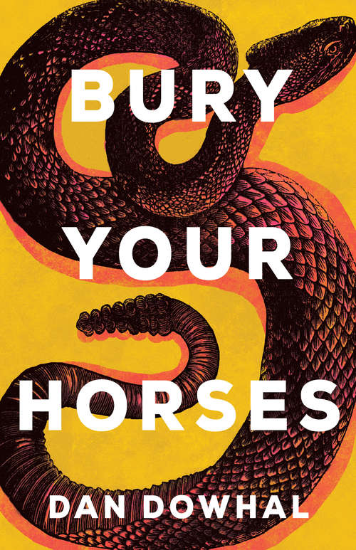 Book cover of Bury Your Horses