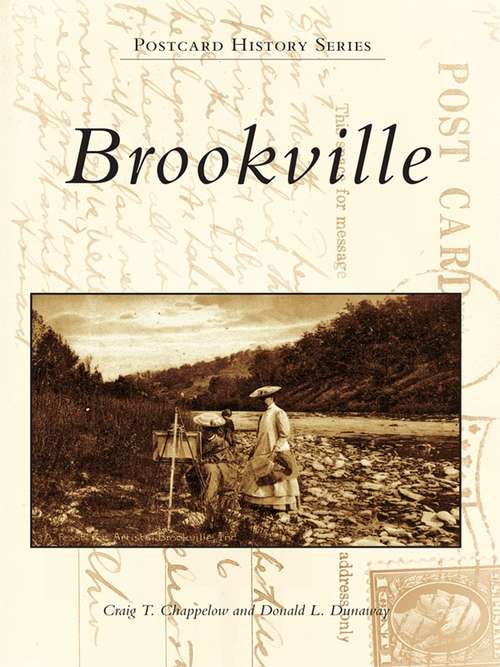 Book cover of Brookville