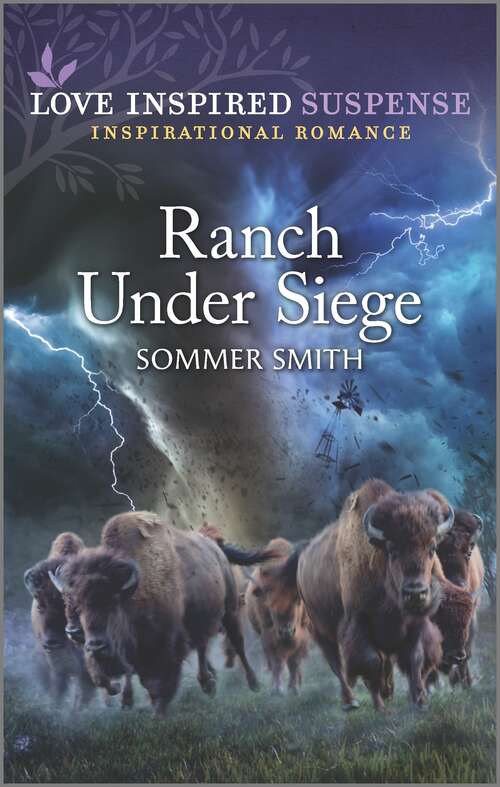 Book cover of Ranch Under Siege (Original)