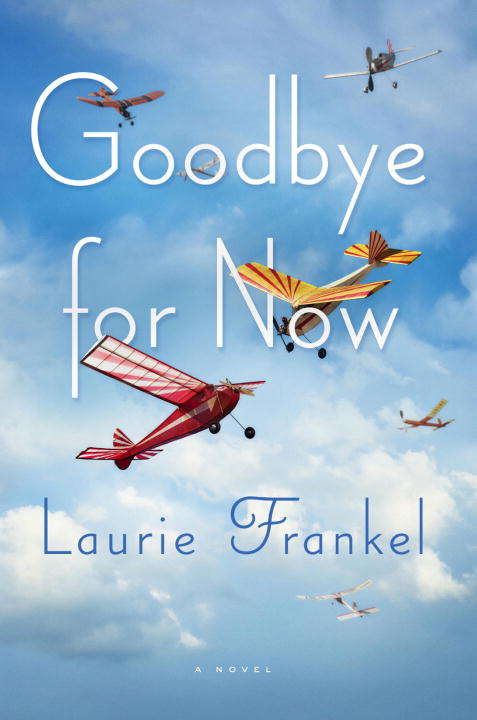 Book cover of Goodbye for Now: A Novel