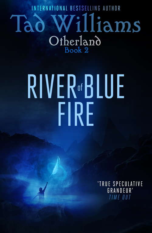 Book cover of River of Blue Fire: Otherland Book 2 (Otherland #10)