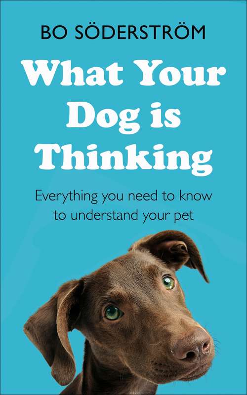 Book cover of What Your Dog Is Thinking: Everything you need to know to understand your pet