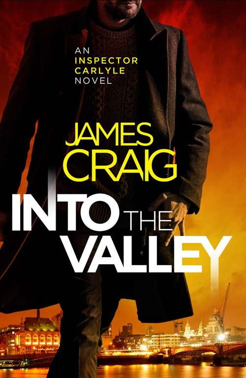 Book cover of Into the Valley