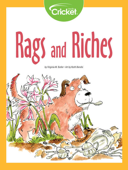 Book cover of Rags and Riches