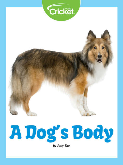 Book cover of A Dog's Body