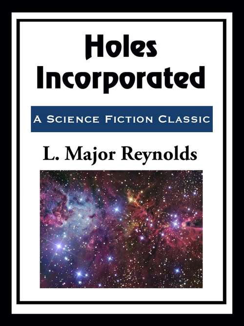 Book cover of Holes Incorporated