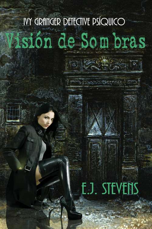 Book cover of Visión de Sombras.