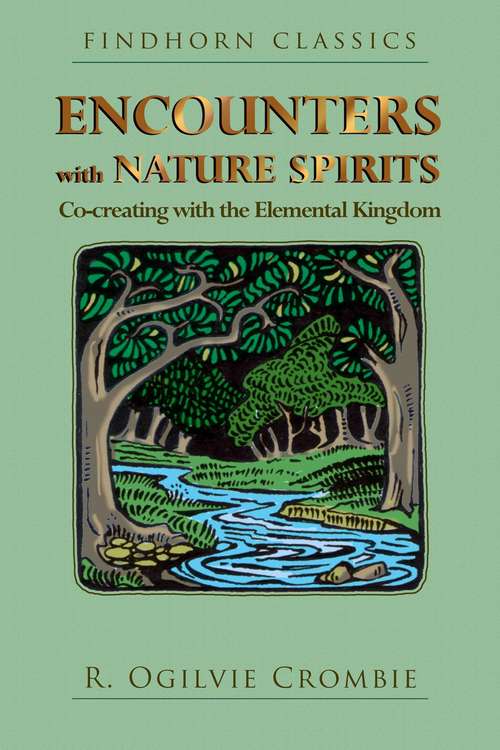 Book cover of Encounters with Nature Spirits: Co-creating with the Elemental Kingdom (3rd Edition, New Edition of <i>Meeting Fairies</i>)