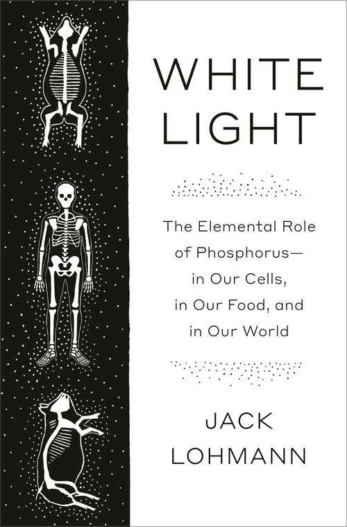 Book cover of White Light: The Elemental Role of Phosphorus-in Our Cells, in Our Food, and in Our World