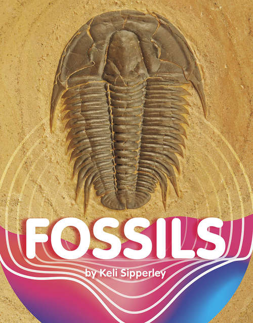 Book cover of Fossils (Earth Materials and Systems)