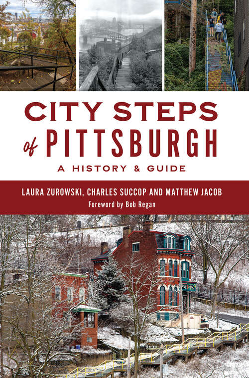 Book cover of City Steps of Pittsburgh: A History & Guide (History & Guide)