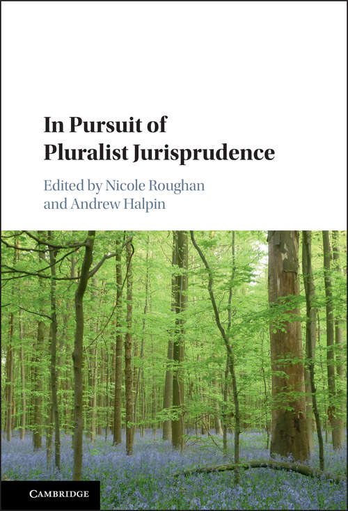 Book cover of In Pursuit of Pluralist Jurisprudence